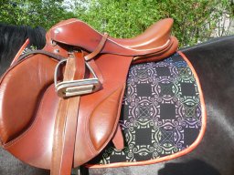 OrdOg Nori szitazott izzaszto 2_2008